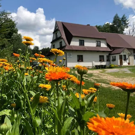 Cichy Zakatek - Blisko Termy Chocholowskie Appartement *